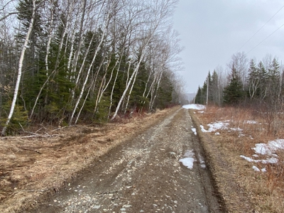 Maine Timber & Recreation Land for Sale - image 6
