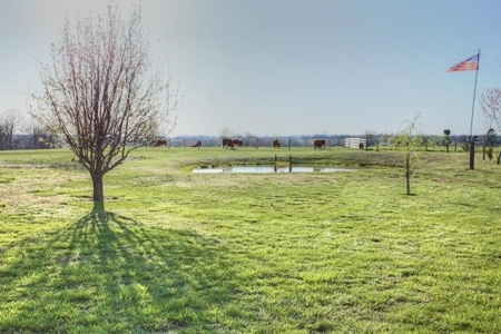 40 Acre Working Cattle Farm in Southern Missouri Ozarks - image 25