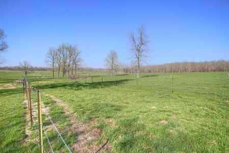 40 Acre Working Cattle Farm in Southern Missouri Ozarks - image 20