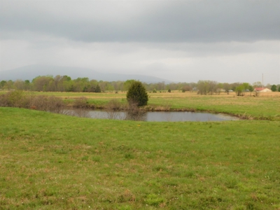 20 Acres Near Poteau, Ok - image 22