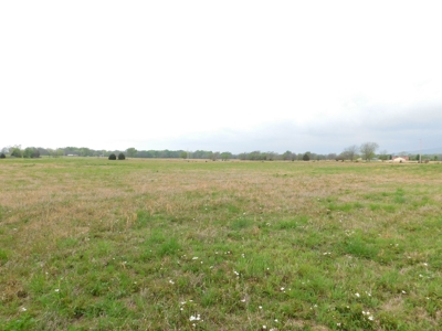 20 Acres Near Poteau, Ok - image 12