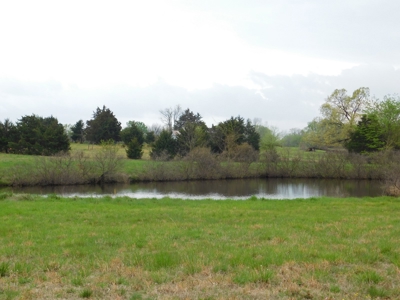 20 Acres Near Poteau, Ok - image 15
