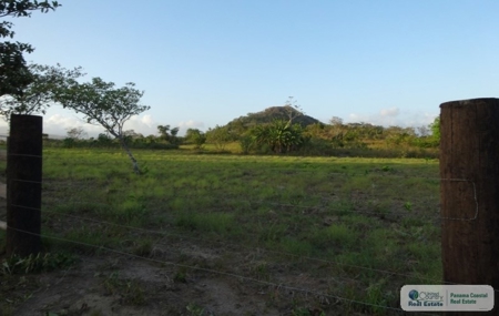 4.3 Hectares Farm For Sale In San Carlos Close To Coronado - image 4