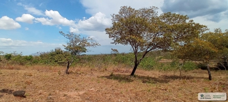 4.3 Hectares Farm For Sale In San Carlos Close To Coronado - image 7