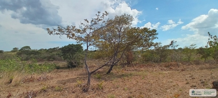4.3 Hectares Farm For Sale In San Carlos Close To Coronado - image 2
