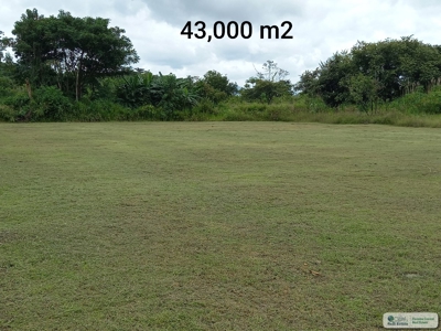 4.3 Hectares Farm For Sale In San Carlos Close To Coronado - image 1
