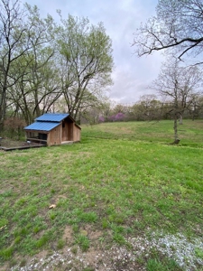 Rustic Country  Home For Sale With Acreage - image 34