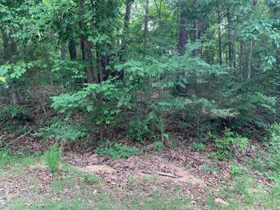 Lot near Bull Shoals Lake in Theodosia, MO - image 2