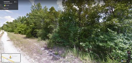 Lot near Bull Shoals Lake in Theodosia, MO - image 4