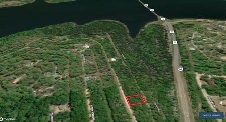 Lot near Bull Shoals Lake in Theodosia, MO - image 5