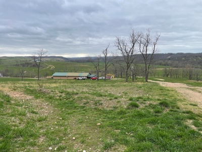 Farm & Cattle Ranch with Home For Sale in Texas County, MO - image 37