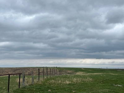 Farm & Cattle Ranch with Home For Sale in Texas County, MO - image 28