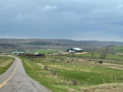 Farm & Cattle Ranch with Home For Sale in Texas County, MO - image 8