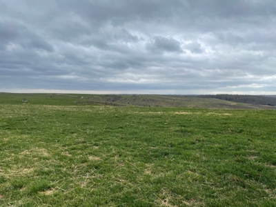 Farm & Cattle Ranch with Home For Sale in Texas County, MO - image 35