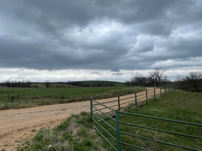 Farm & Cattle Ranch with Home For Sale in Texas County, MO - image 22