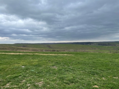 Farm & Cattle Ranch with Home For Sale in Texas County, MO - image 27