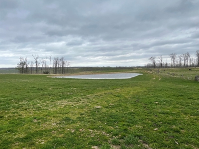 Farm & Cattle Ranch with Home For Sale in Texas County, MO - image 36