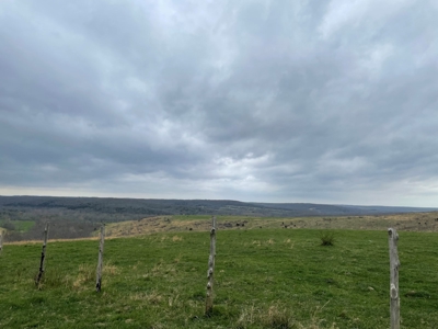 Farm & Cattle Ranch with Home For Sale in Texas County, MO - image 26
