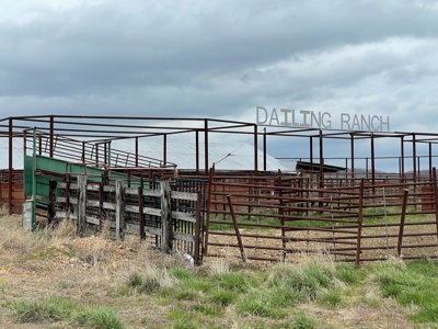 Farm & Cattle Ranch with Home For Sale in Texas County, MO - image 1
