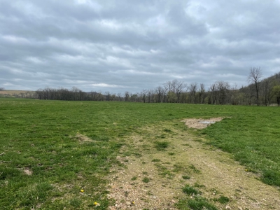 Farm & Cattle Ranch with Home For Sale in Texas County, MO - image 45