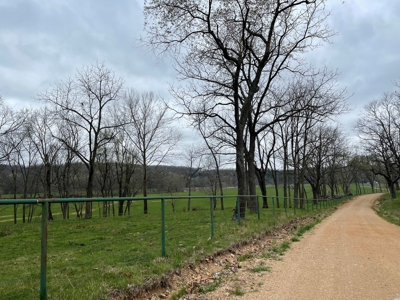 Farm & Cattle Ranch with Home For Sale in Texas County, MO - image 39