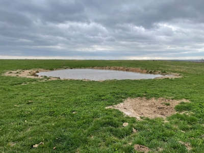Farm & Cattle Ranch with Home For Sale in Texas County, MO - image 31