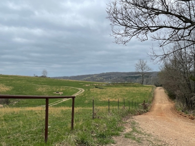 Farm & Cattle Ranch with Home For Sale in Texas County, MO - image 43