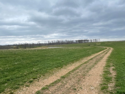 Farm & Cattle Ranch with Home For Sale in Texas County, MO - image 33