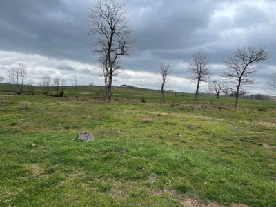Farm & Cattle Ranch with Home For Sale in Texas County, MO - image 21
