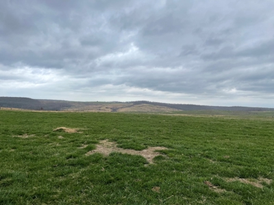 Farm & Cattle Ranch with Home For Sale in Texas County, MO - image 30