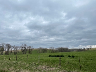 Farm & Cattle Ranch with Home For Sale in Texas County, MO - image 42