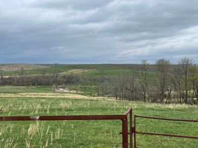 Farm & Cattle Ranch with Home For Sale in Texas County, MO - image 10