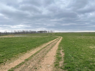 Farm & Cattle Ranch with Home For Sale in Texas County, MO - image 32
