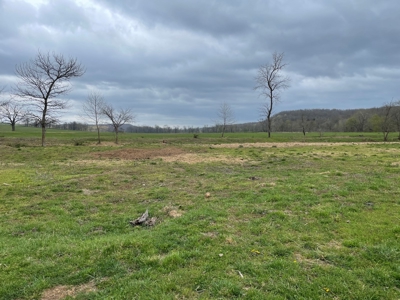Farm & Cattle Ranch with Home For Sale in Texas County, MO - image 20