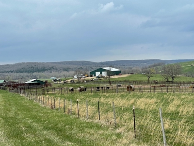 Farm & Cattle Ranch with Home For Sale in Texas County, MO - image 9
