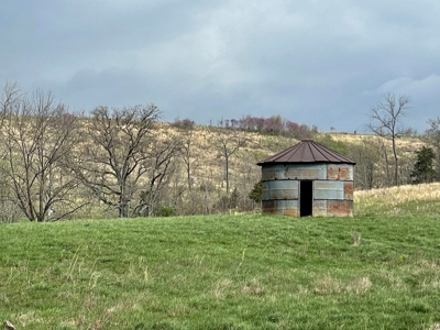 Farm & Cattle Ranch with Home For Sale in Texas County, MO - image 15