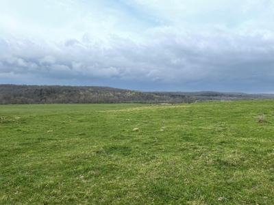 Farm & Cattle Ranch with Home For Sale in Texas County, MO - image 5