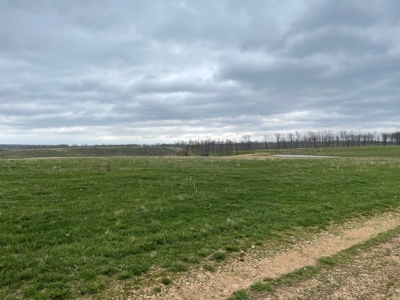 Farm & Cattle Ranch with Home For Sale in Texas County, MO - image 34