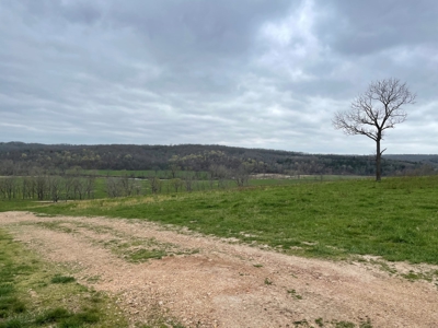 Farm & Cattle Ranch with Home For Sale in Texas County, MO - image 38