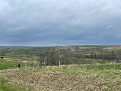 Farm & Cattle Ranch with Home For Sale in Texas County, MO - image 6
