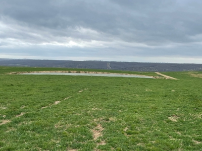 Farm & Cattle Ranch with Home For Sale in Texas County, MO - image 29
