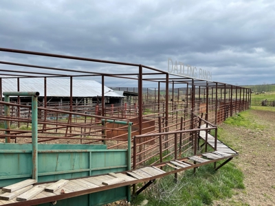 Farm & Cattle Ranch with Home For Sale in Texas County, MO - image 11