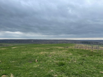 Farm & Cattle Ranch with Home For Sale in Texas County, MO - image 25