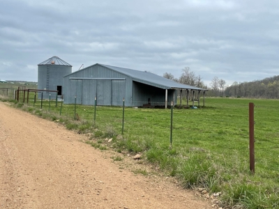 Farm & Cattle Ranch with Home For Sale in Texas County, MO - image 40