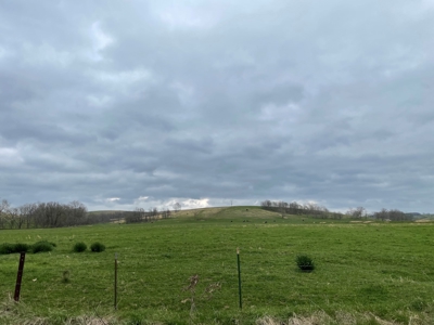 Farm & Cattle Ranch with Home For Sale in Texas County, MO - image 41