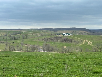 Farm & Cattle Ranch with Home For Sale in Texas County, MO - image 24
