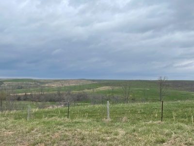 Farm & Cattle Ranch with Home For Sale in Texas County, MO - image 7