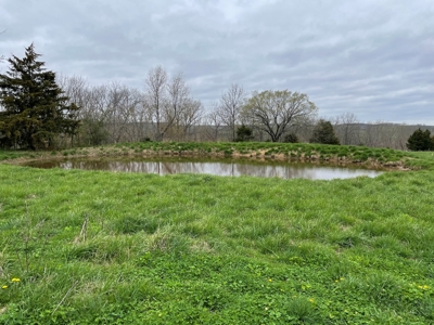Cattle Ranch For Sale In Southern Missouri - image 41
