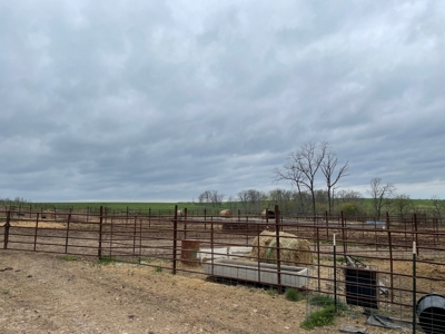Cattle Ranch For Sale In Southern Missouri - image 35