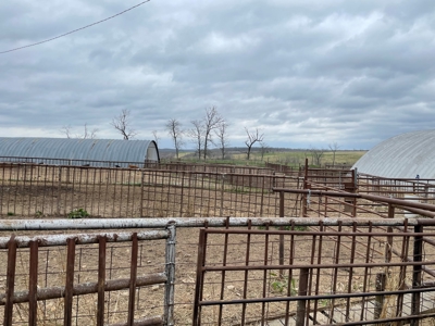 Cattle Ranch For Sale In Southern Missouri - image 32